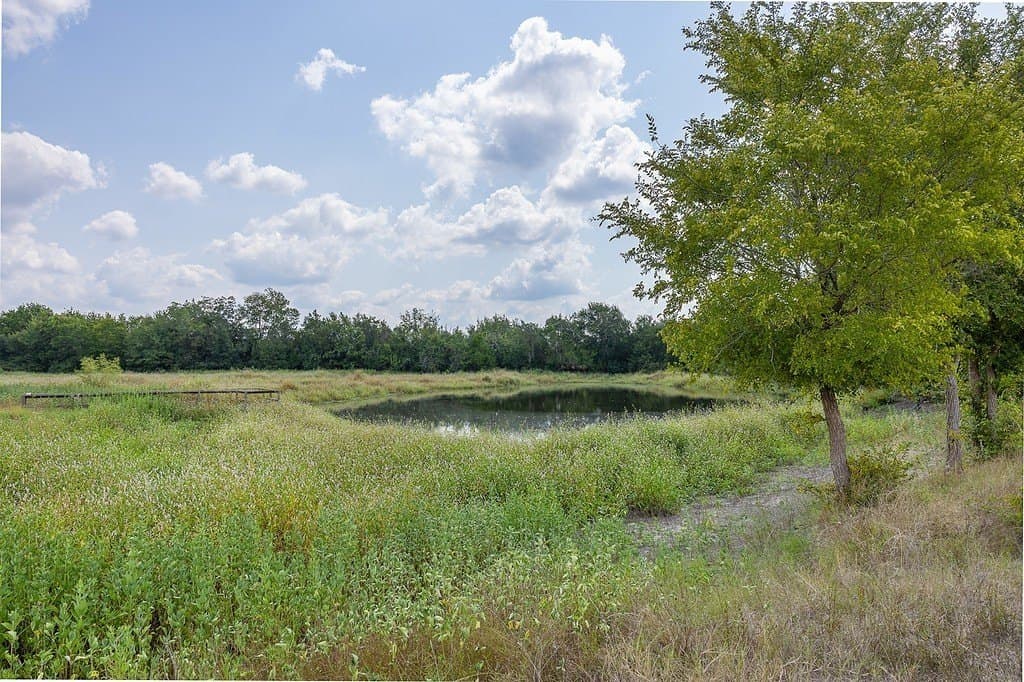 47.8 acres in Fayette County - photo 11