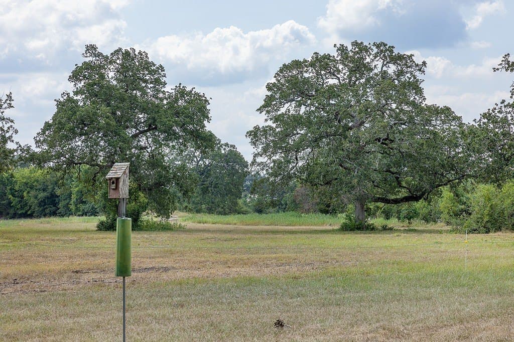 47.8 acres in Fayette County - photo 13