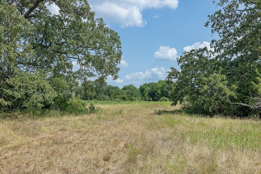 47.8 acres in Fayette County - photo 9
