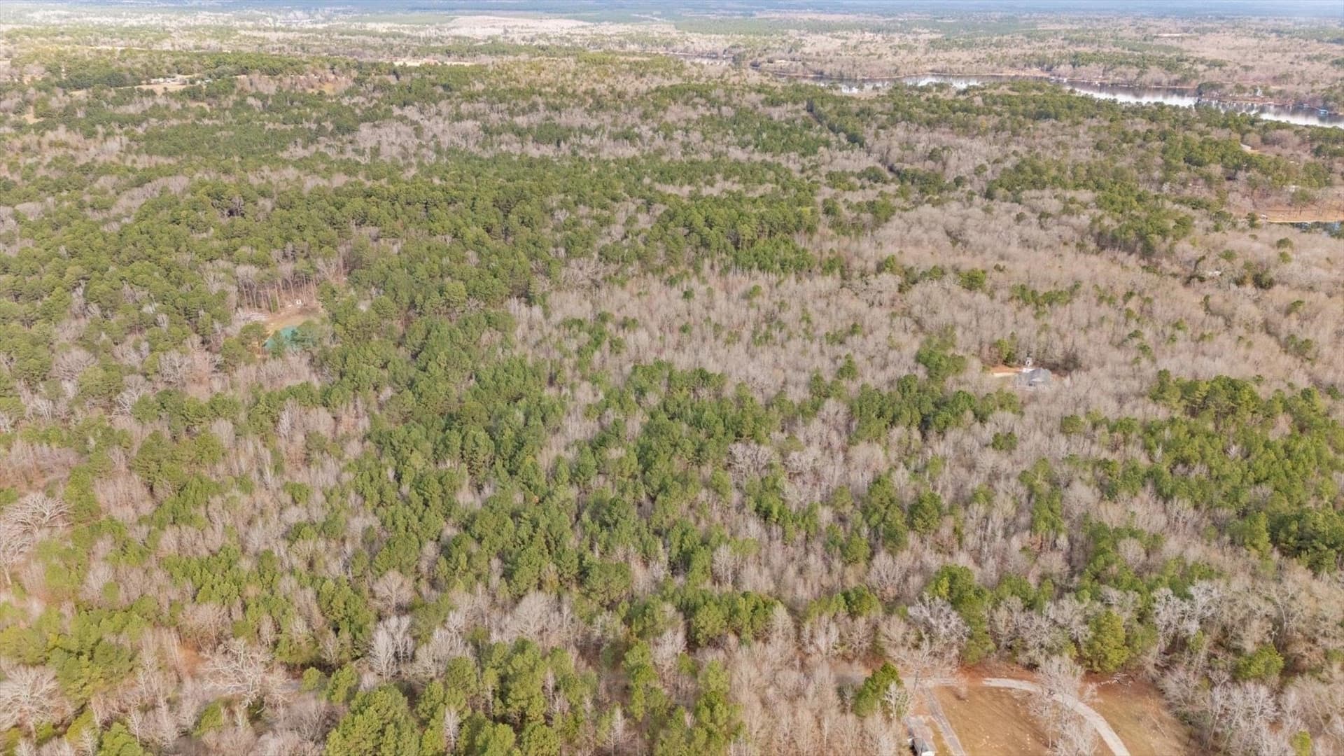 9.8 acres in Wood County - photo 8