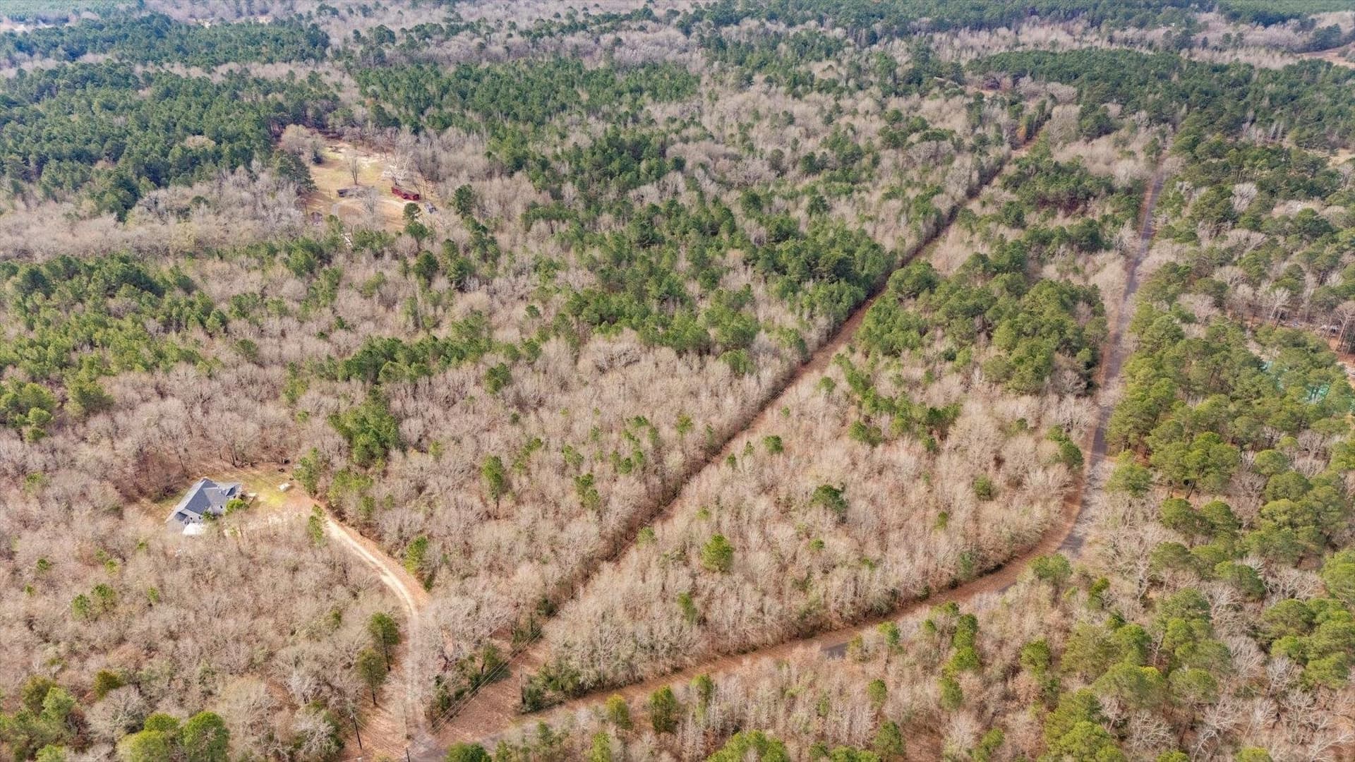 9.8 acres in Wood County - photo 9