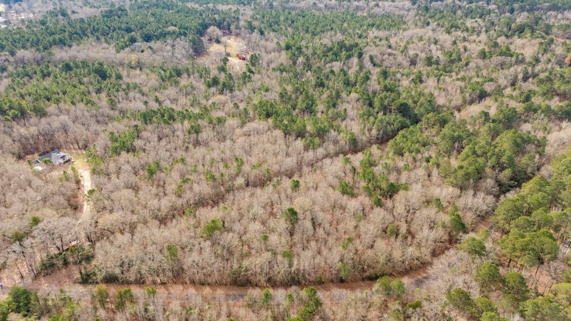 9.8 acres in Wood County - photo 3