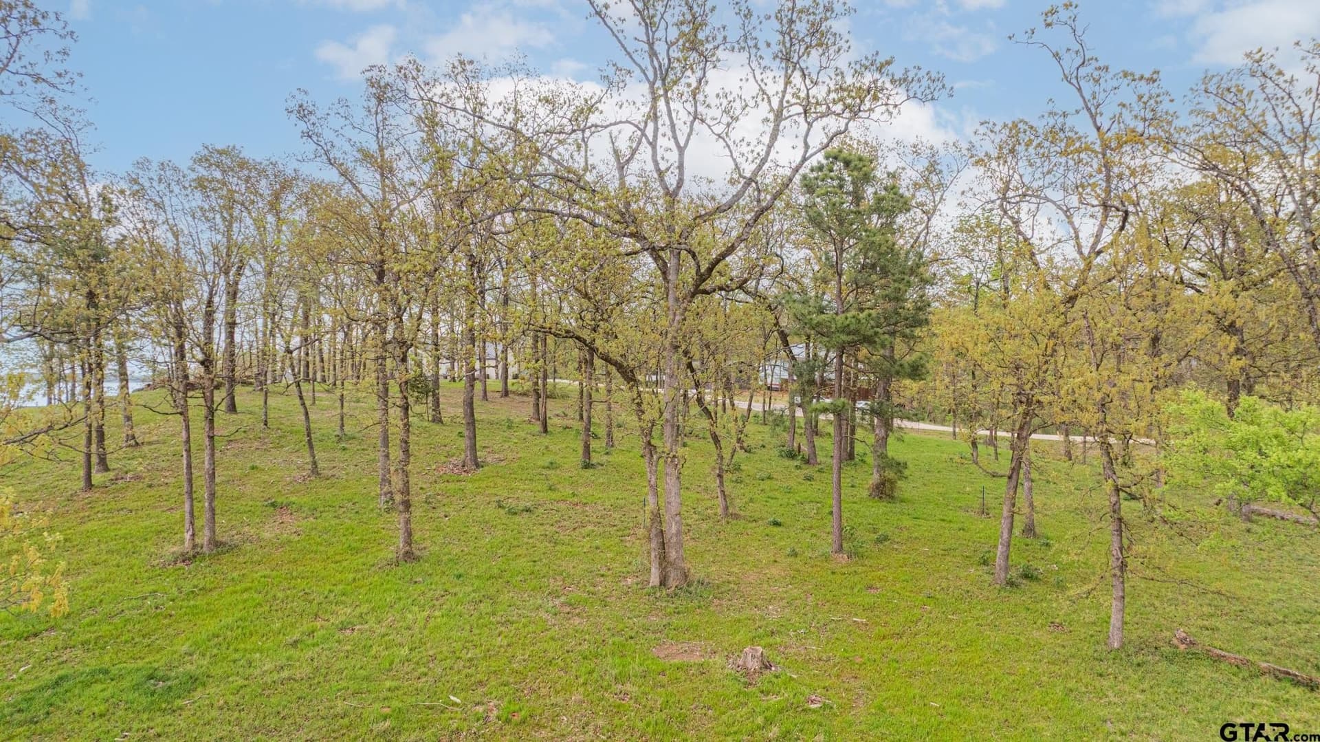 1.24 acres in Camp County - photo 10