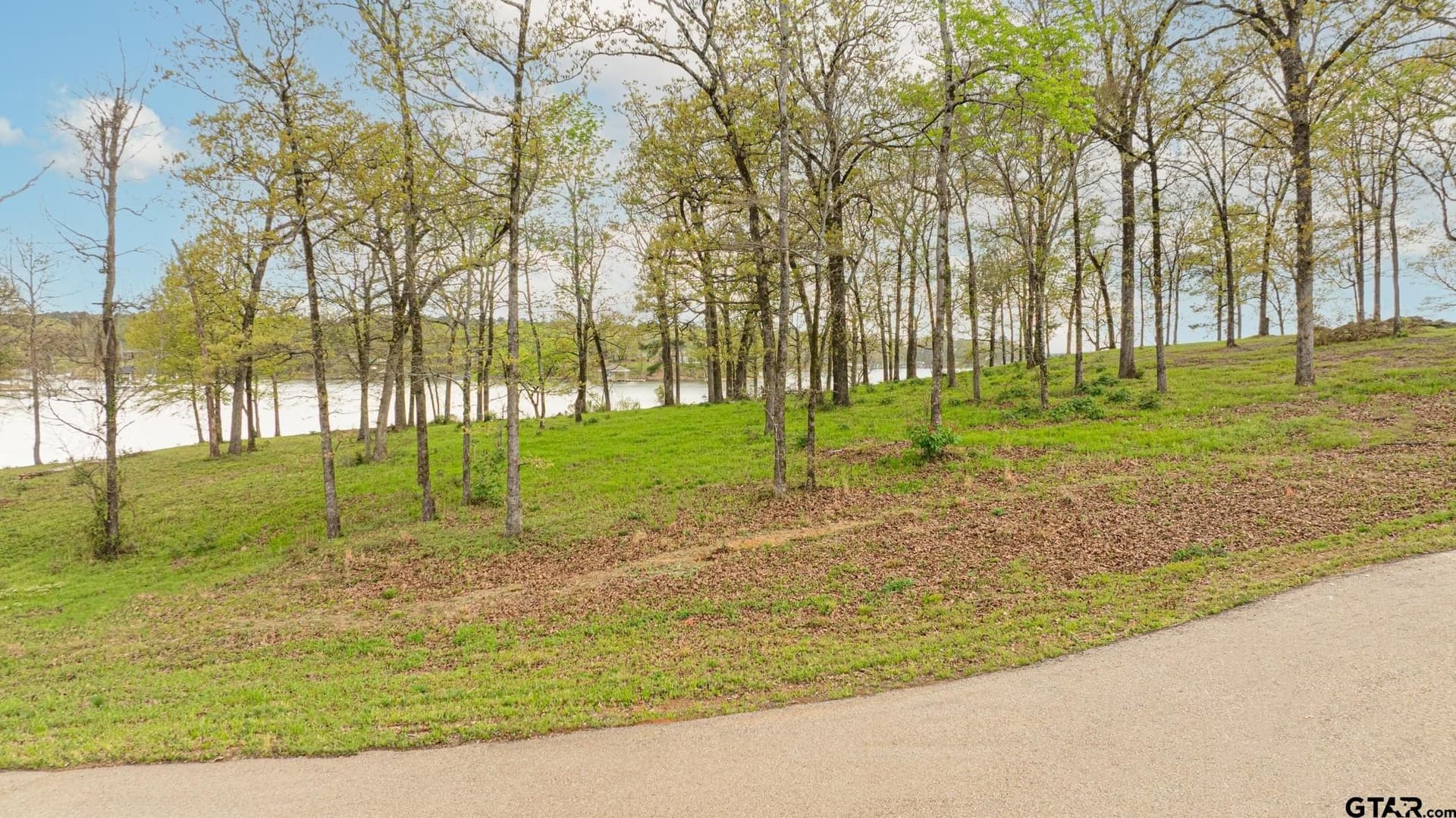 1.24 acres in Camp County - photo 12