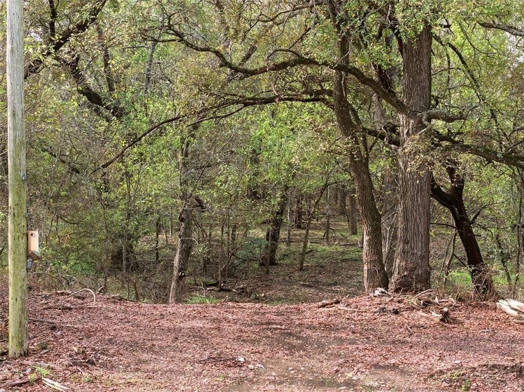 16.19 acres in Hill County - photo 4