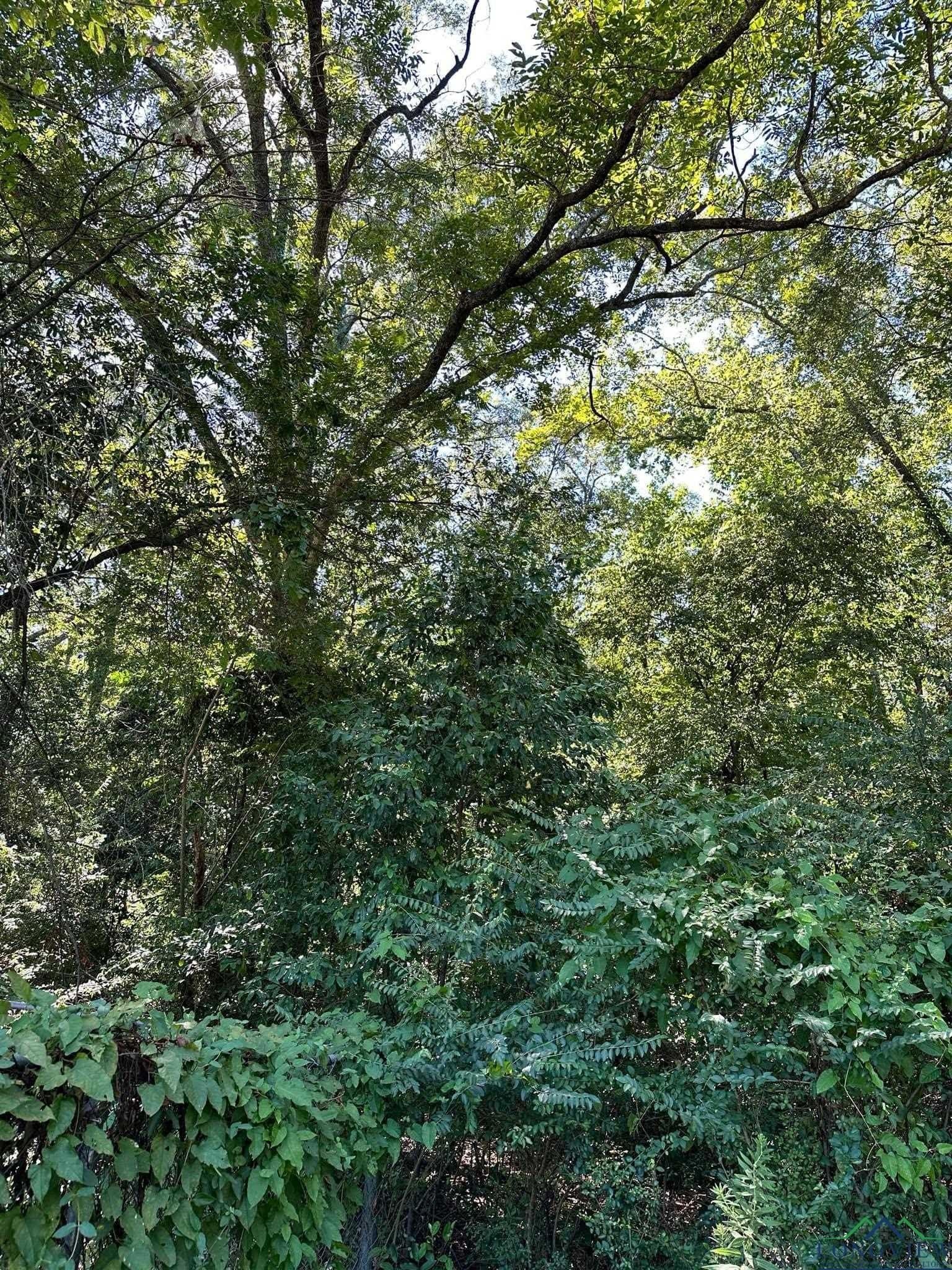 0 acres in Marion County - photo 2