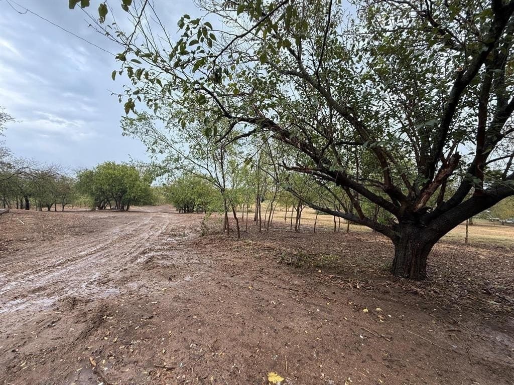 4.6 acres in Denton County - photo 4