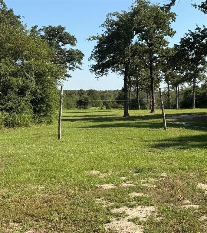 30.19 acres in Limestone County - photo 25