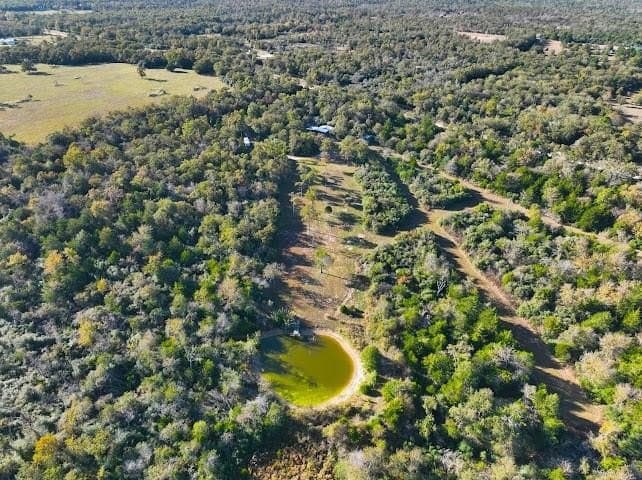 30.19 acres in Limestone County - photo 15