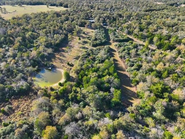 30.19 acres in Limestone County - photo 14