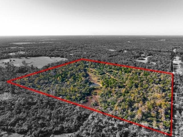 30.19 acres in Limestone County - photo 4