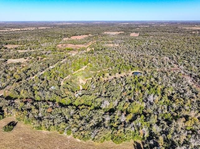 30.19 acres in Limestone County - photo 16