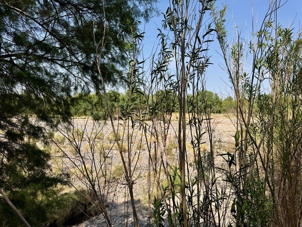 10 acres in Presidio County - photo 47