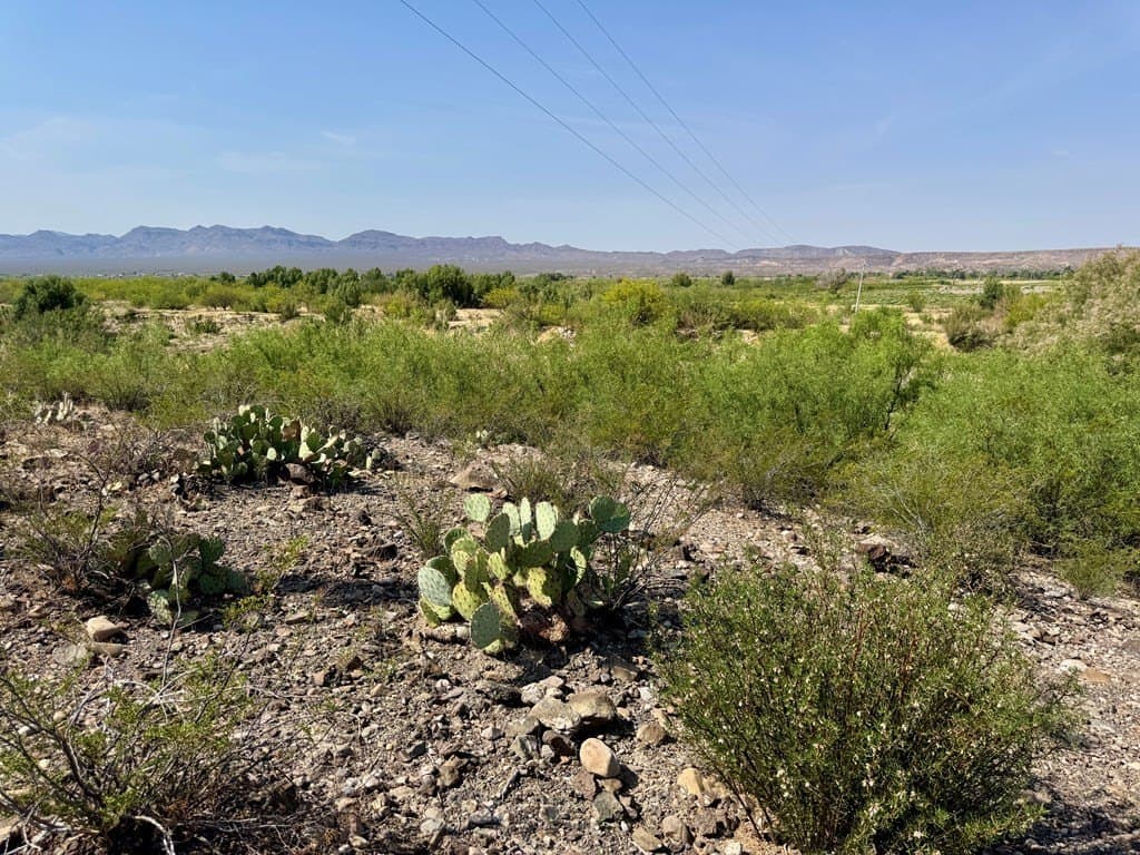 10 acres in Presidio County - photo 45