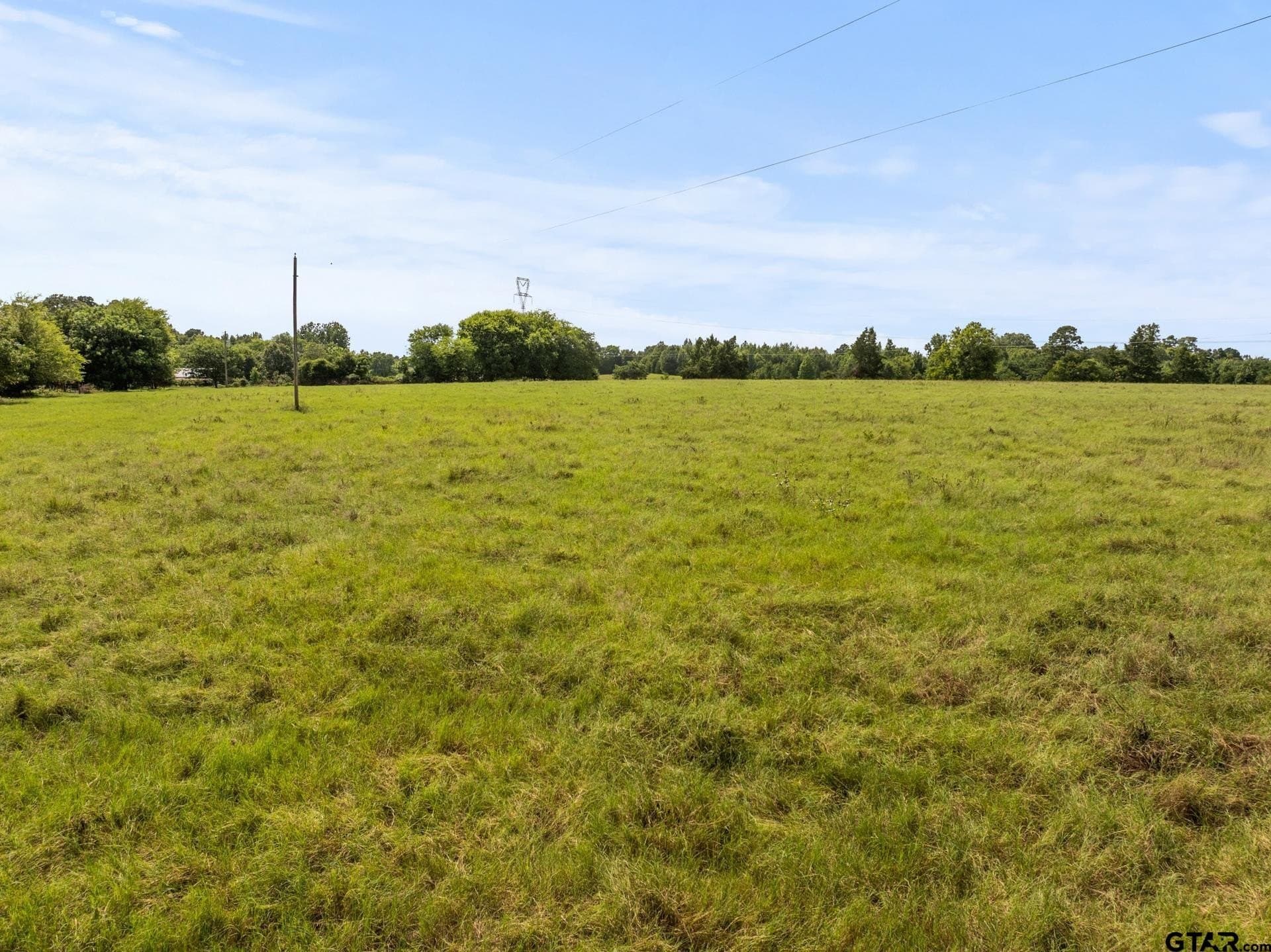 44 acres in Cass County - photo 19