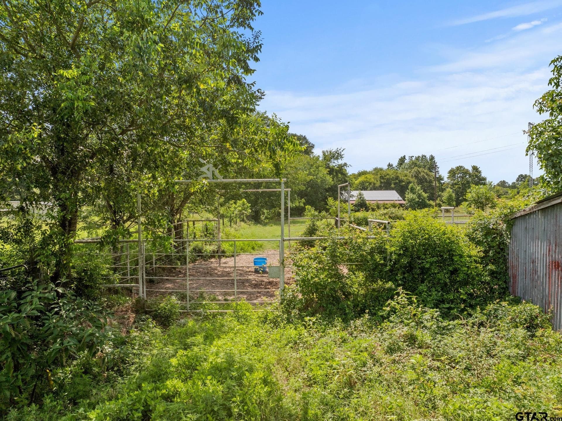 44 acres in Cass County - photo 13