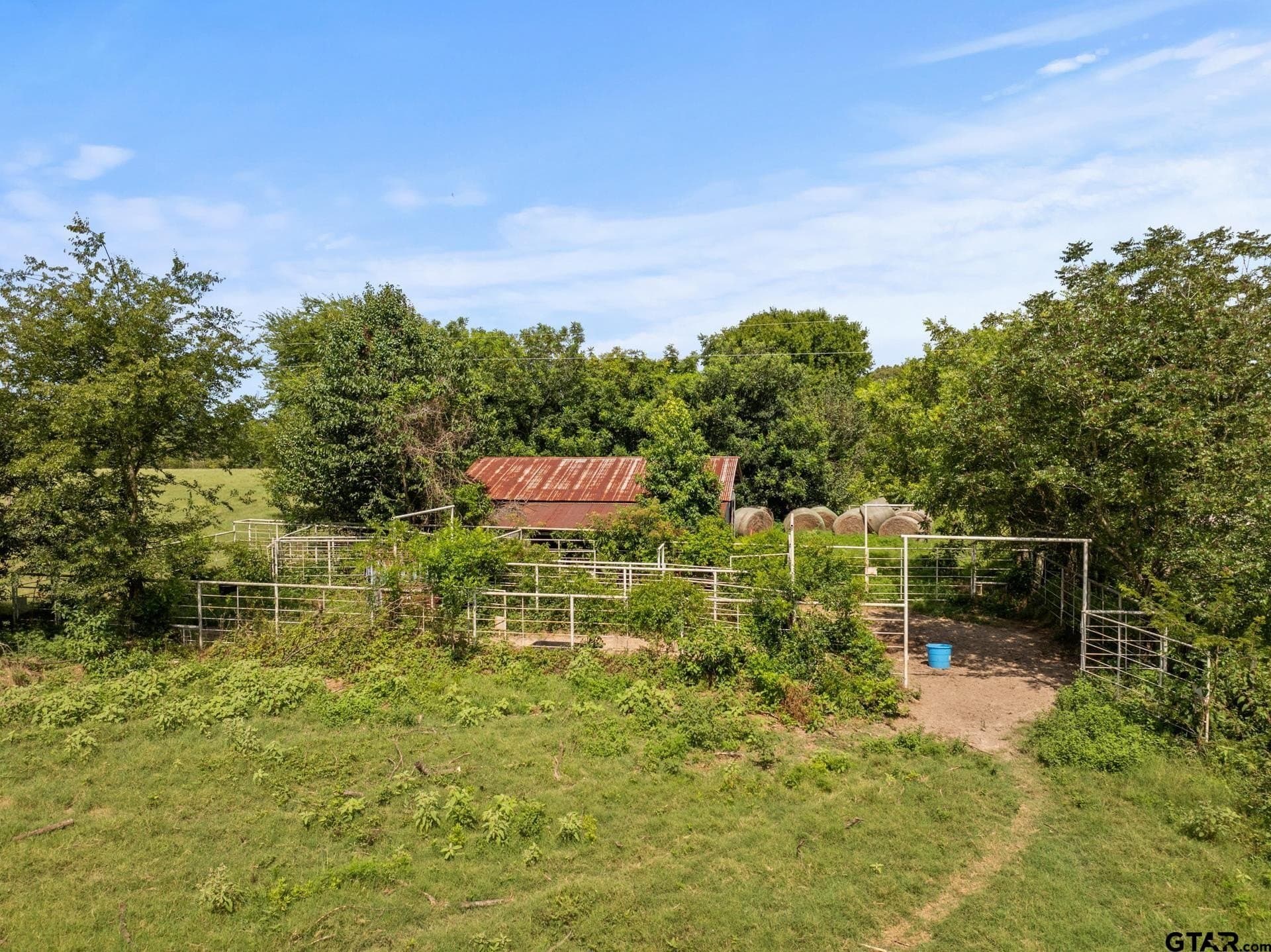 44 acres in Cass County - photo 12