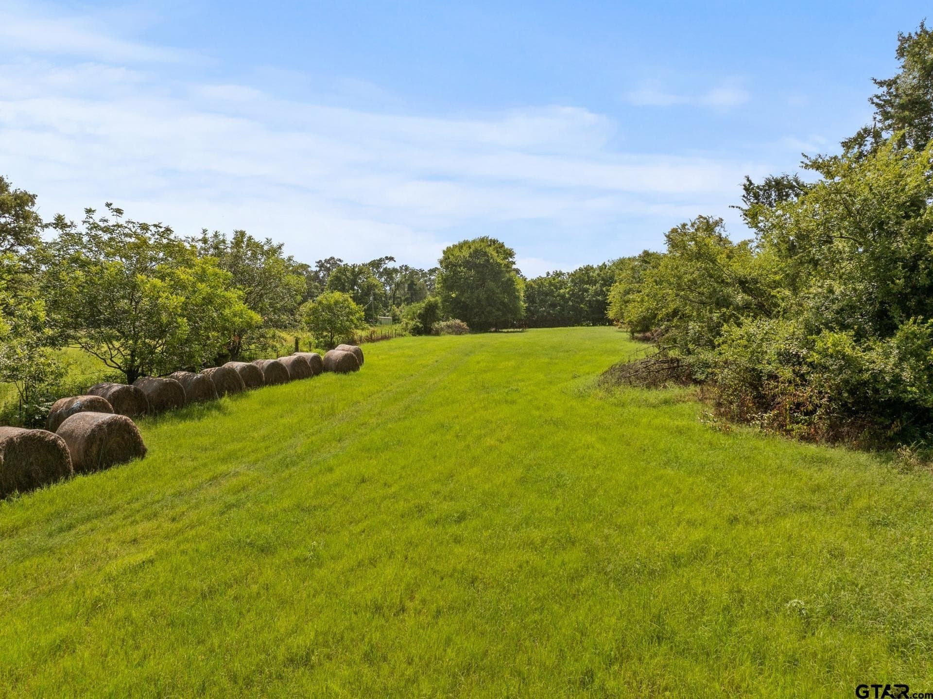 44 acres in Cass County - photo 6