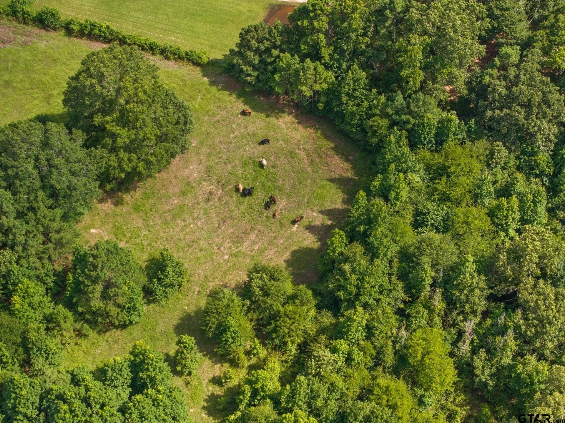 44 acres in Cass County - photo 27