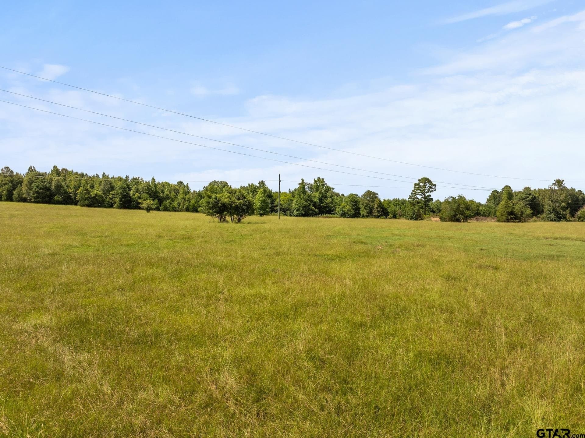 44 acres in Cass County - photo 21