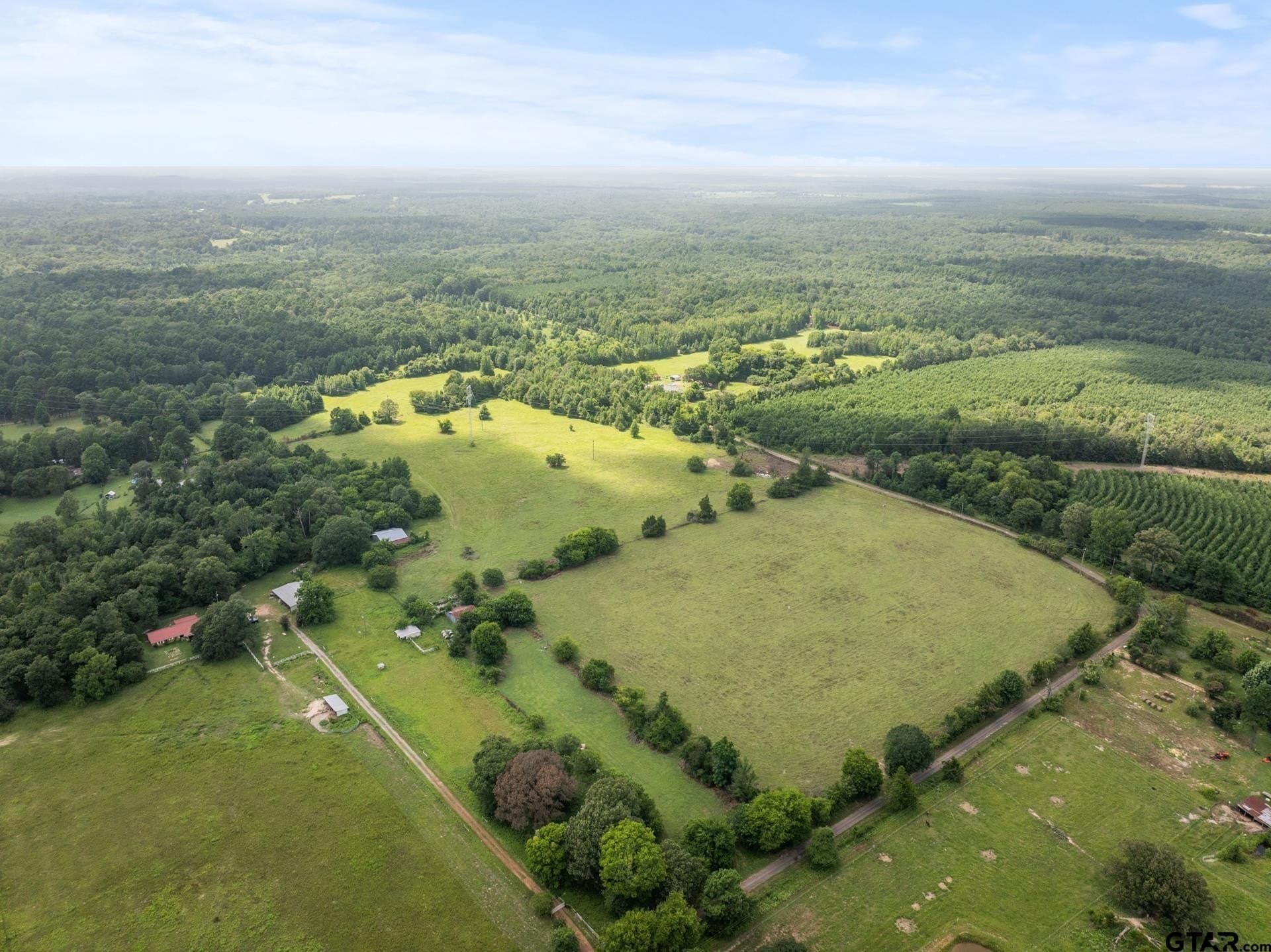44 acres in Cass County - photo 29