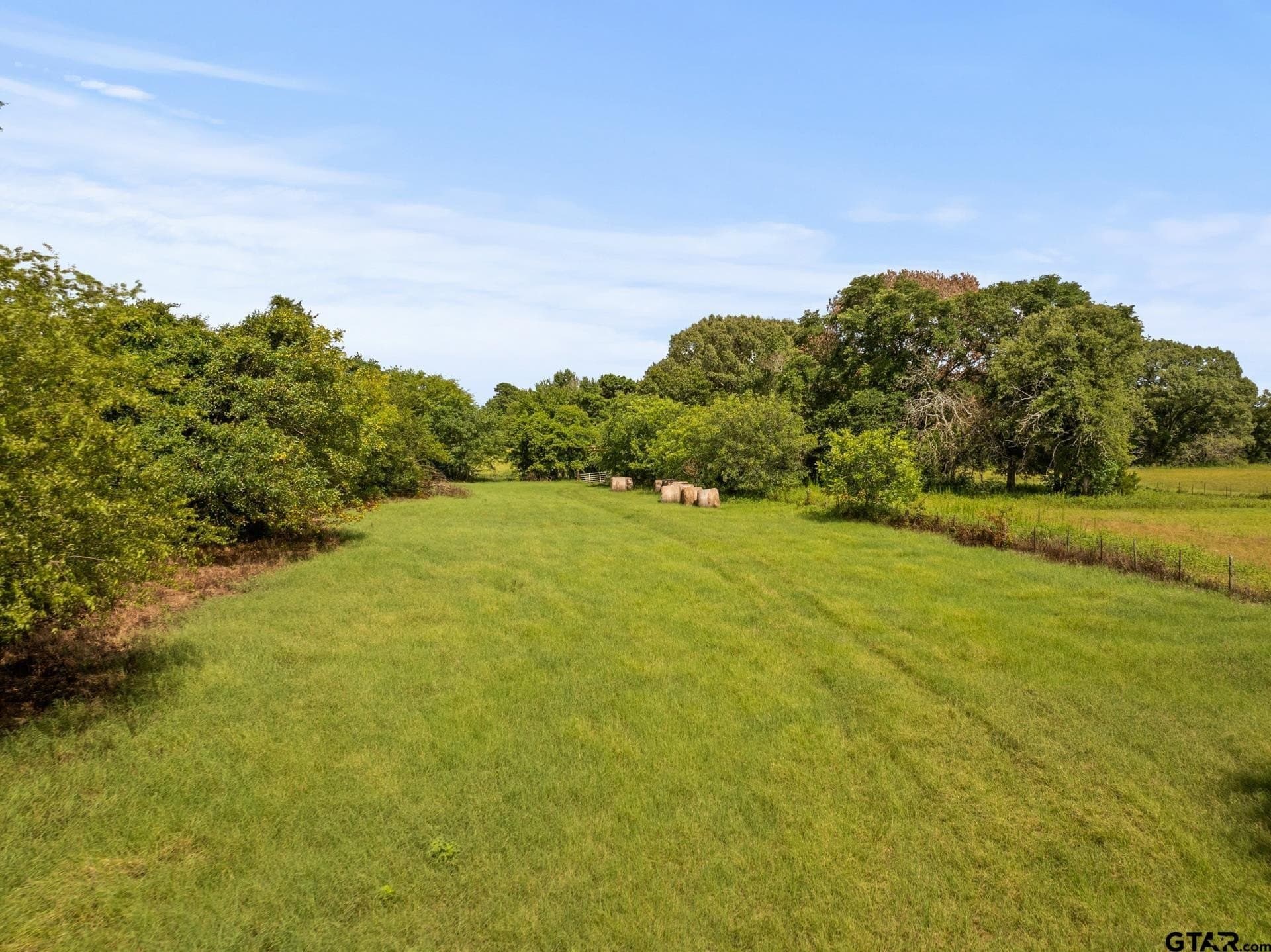 44 acres in Cass County - photo 8