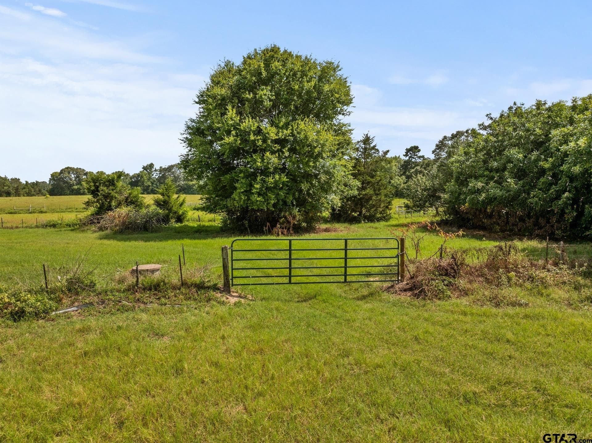 44 acres in Cass County - photo 9