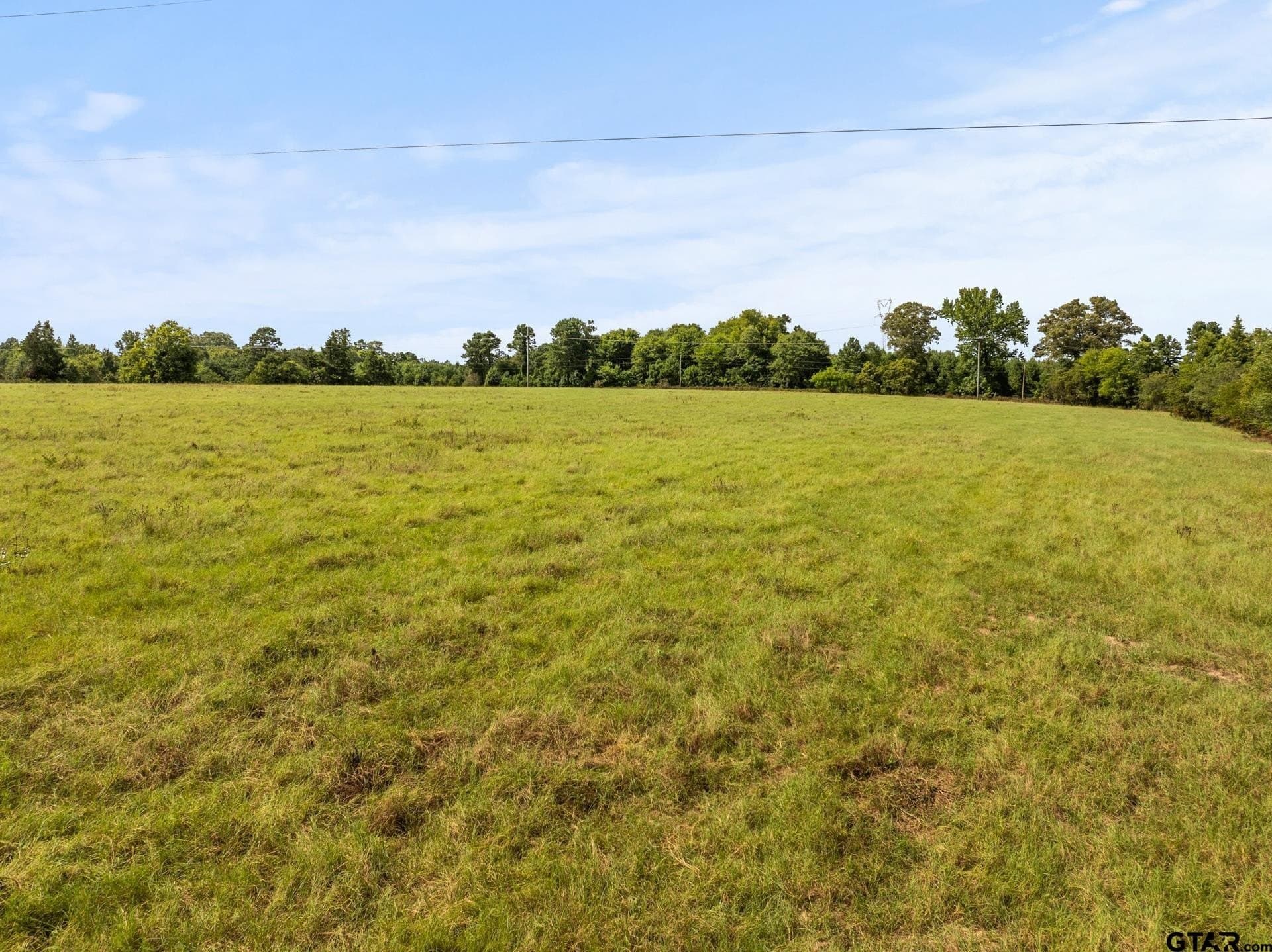 44 acres in Cass County - photo 20