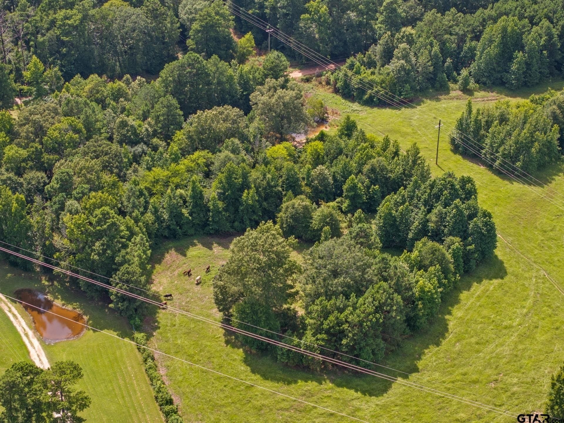 44 acres in Cass County - photo 28