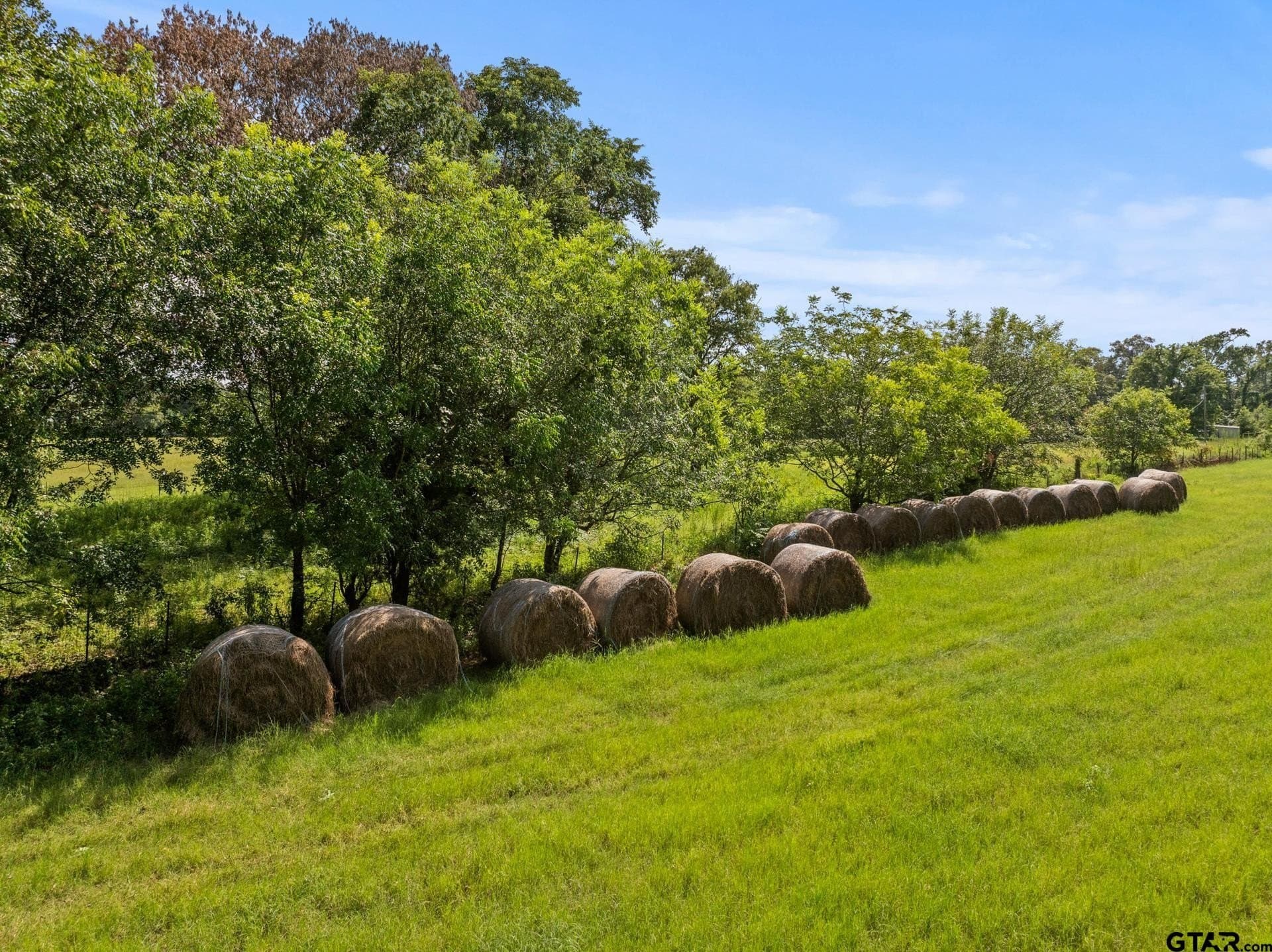 44 acres in Cass County - photo 4