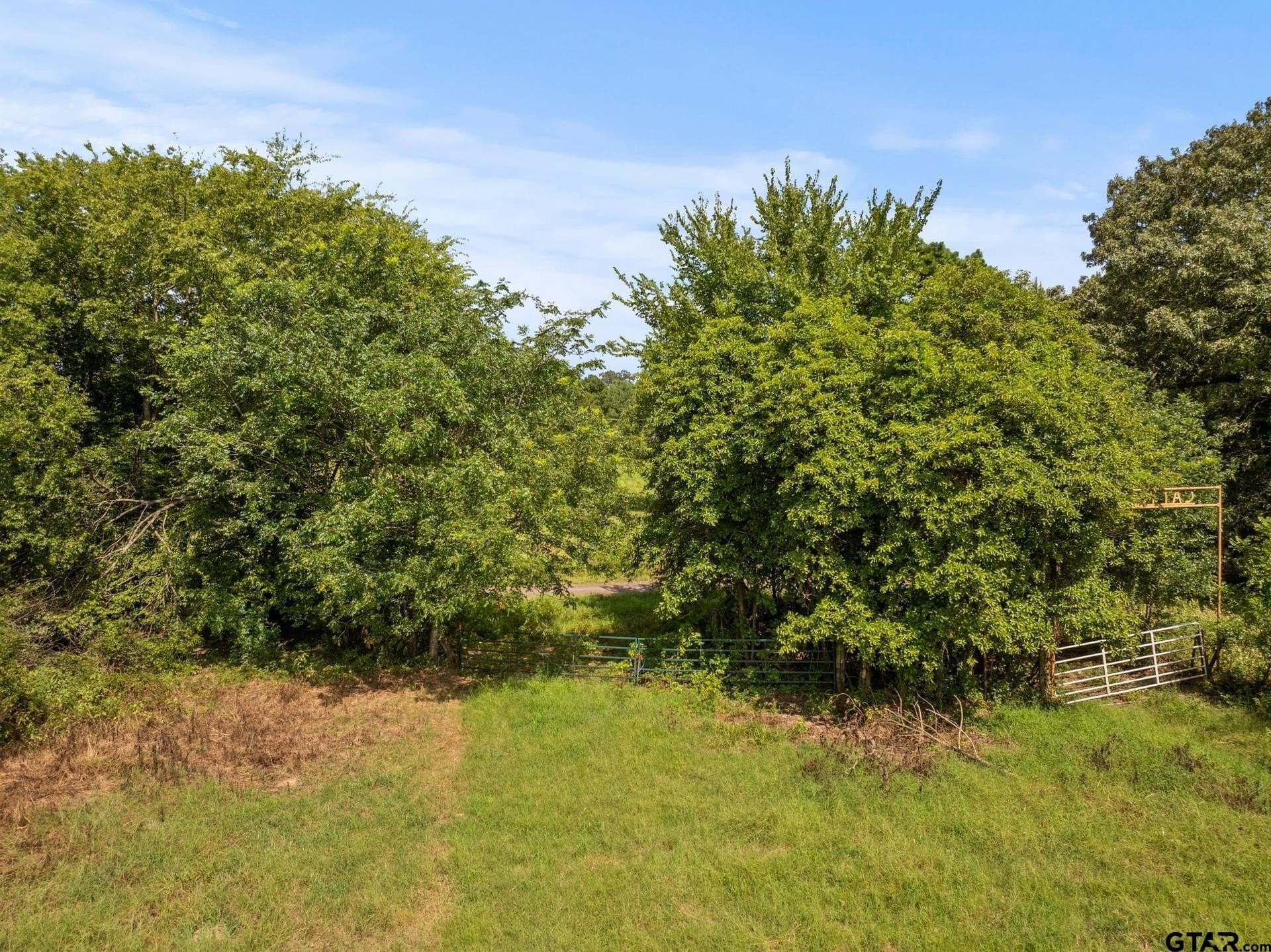 44 acres in Cass County - photo 7