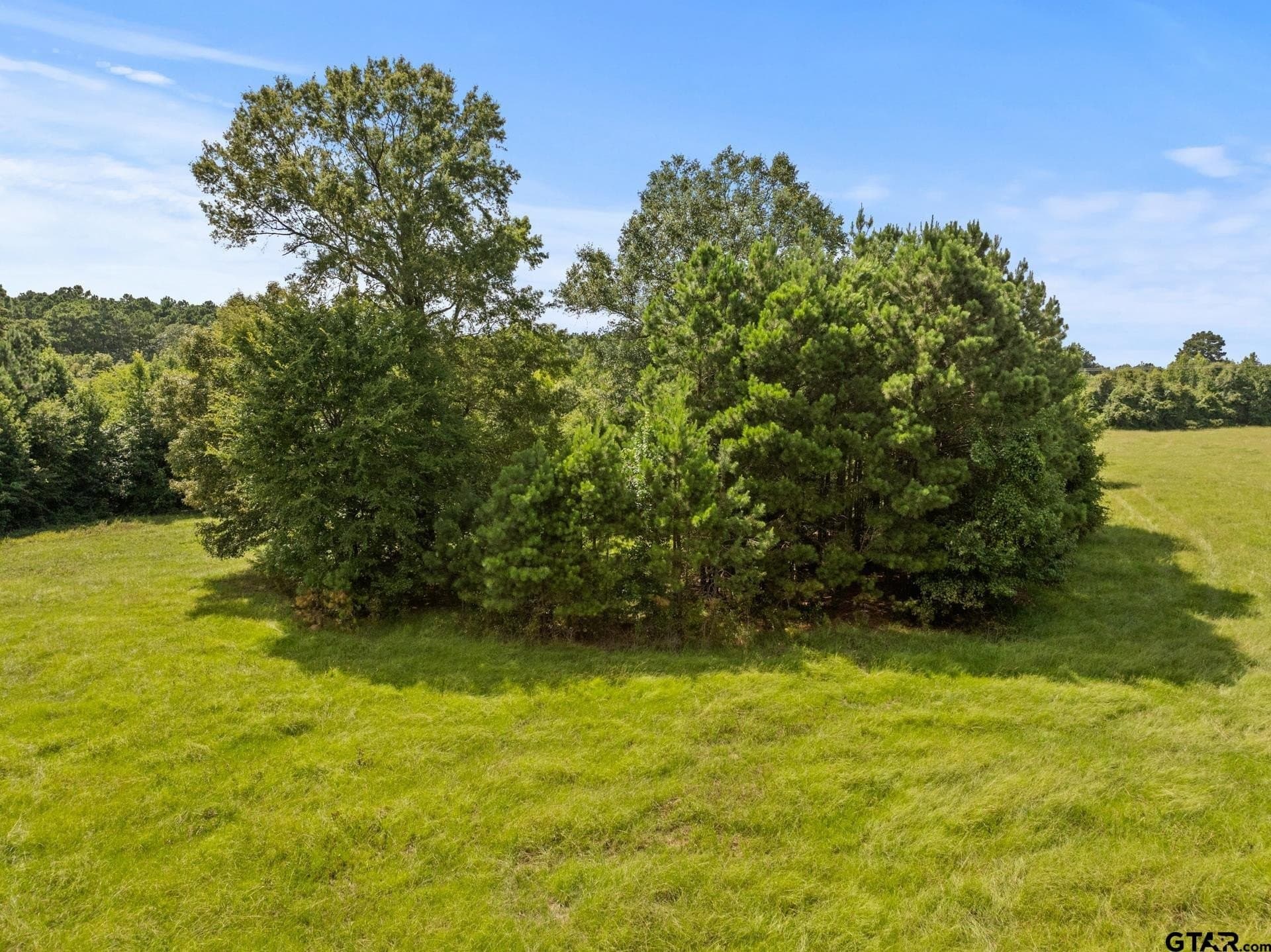 44 acres in Cass County - photo 22