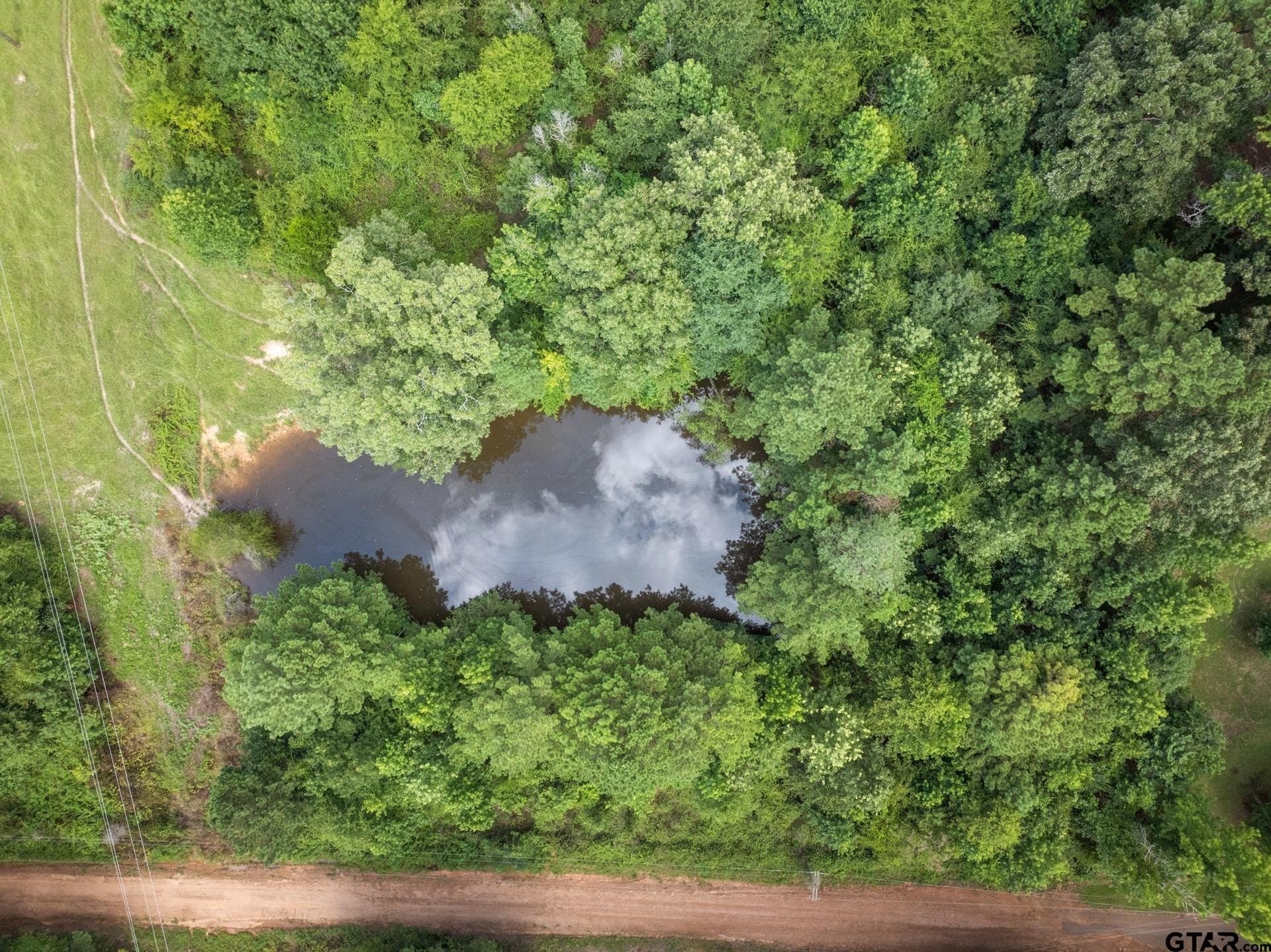 44 acres in Cass County - photo 3