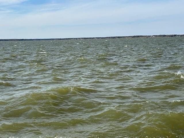 1.01 acres in Navarro County - photo 13