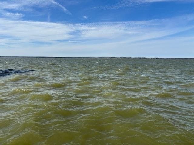 1.01 acres in Navarro County - photo 15