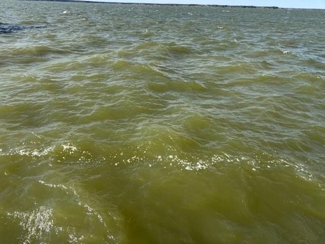 1.01 acres in Navarro County - photo 10