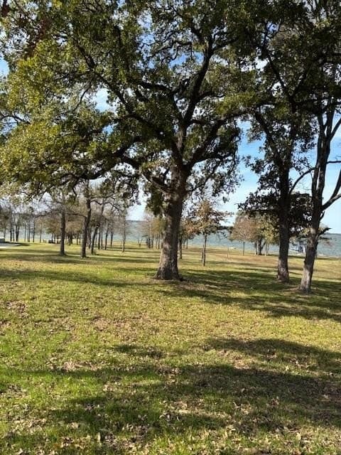 1.01 acres in Navarro County - photo 18