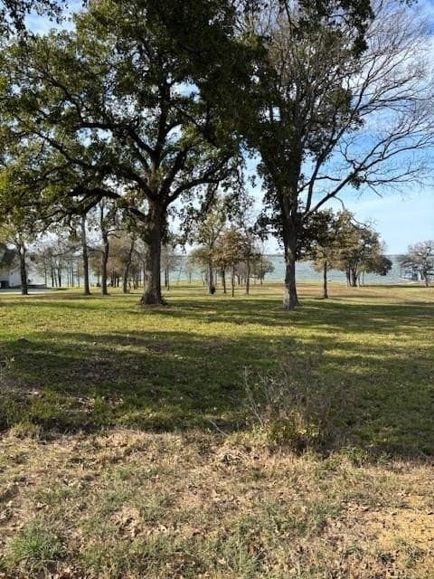 1.01 acres in Navarro County - photo 16