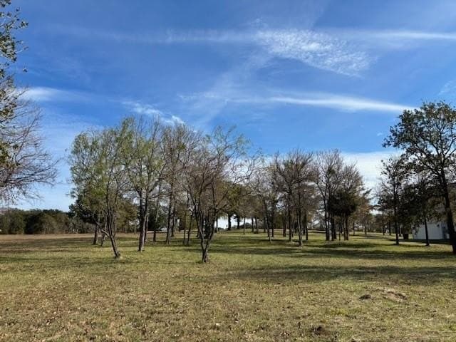 1.01 acres in Navarro County - photo 24