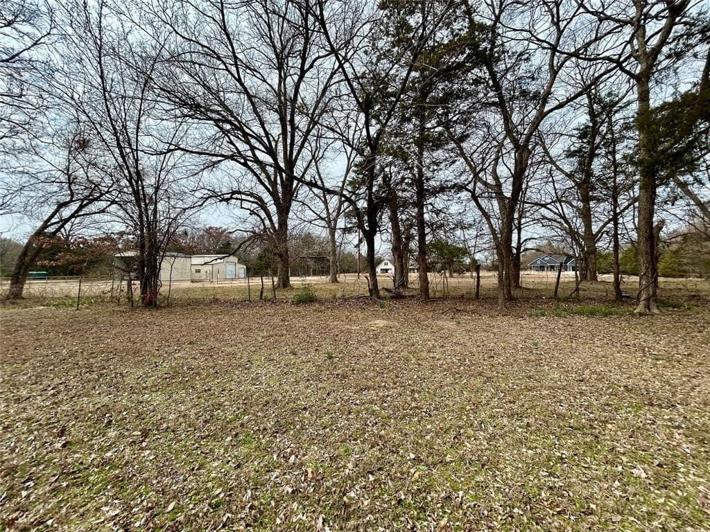 10.8 acres in Rains County - photo 16