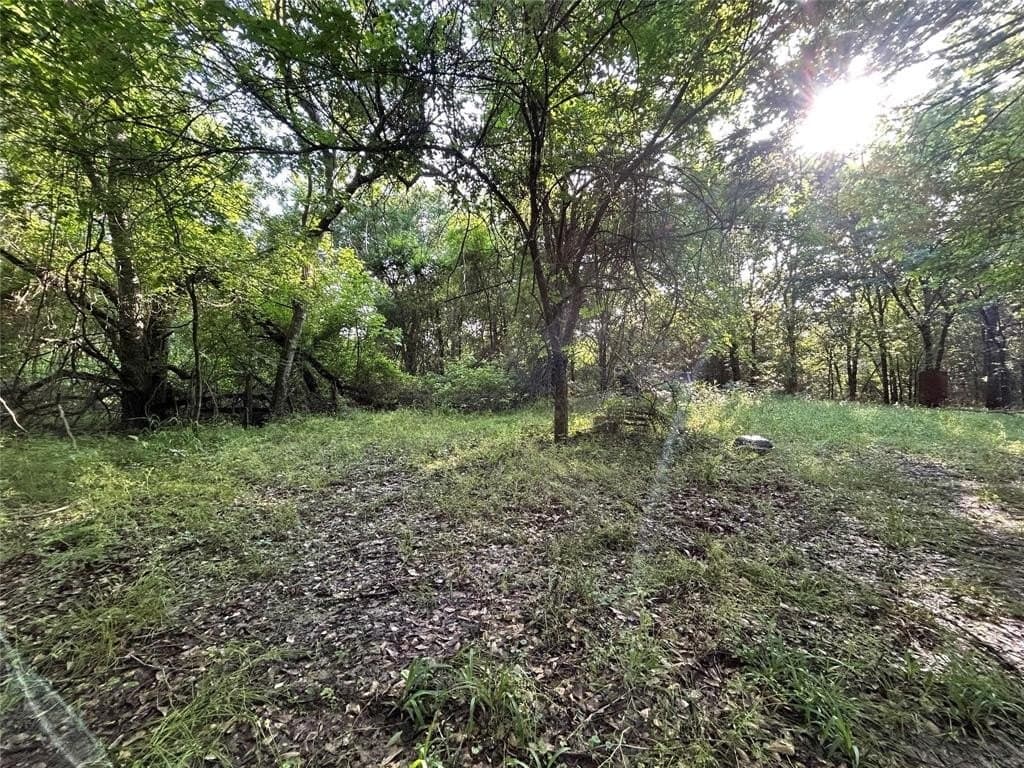 10.8 acres in Rains County - photo 3