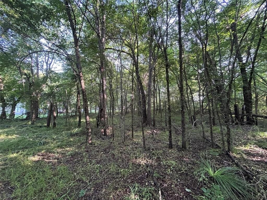 10.8 acres in Rains County - photo 4