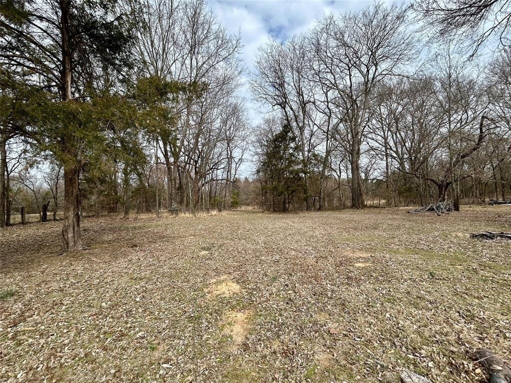 10.8 acres in Rains County - photo 17