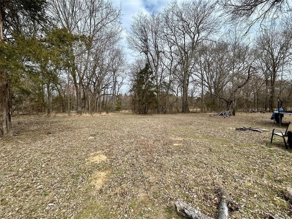 10.8 acres in Rains County - photo 18