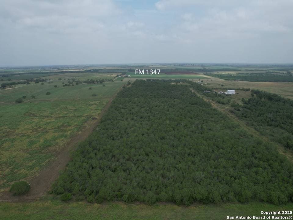 26.88 acres in Wilson County - photo 6