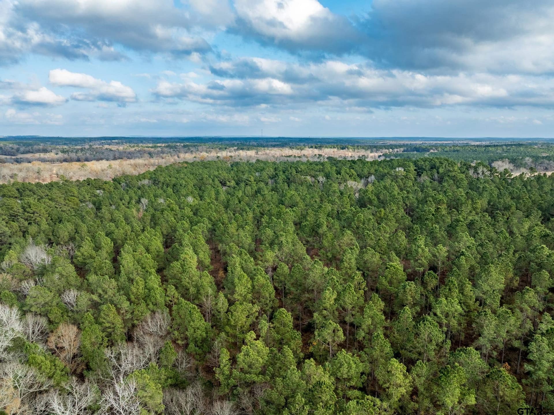 6.41 acres in Anderson County - photo 10