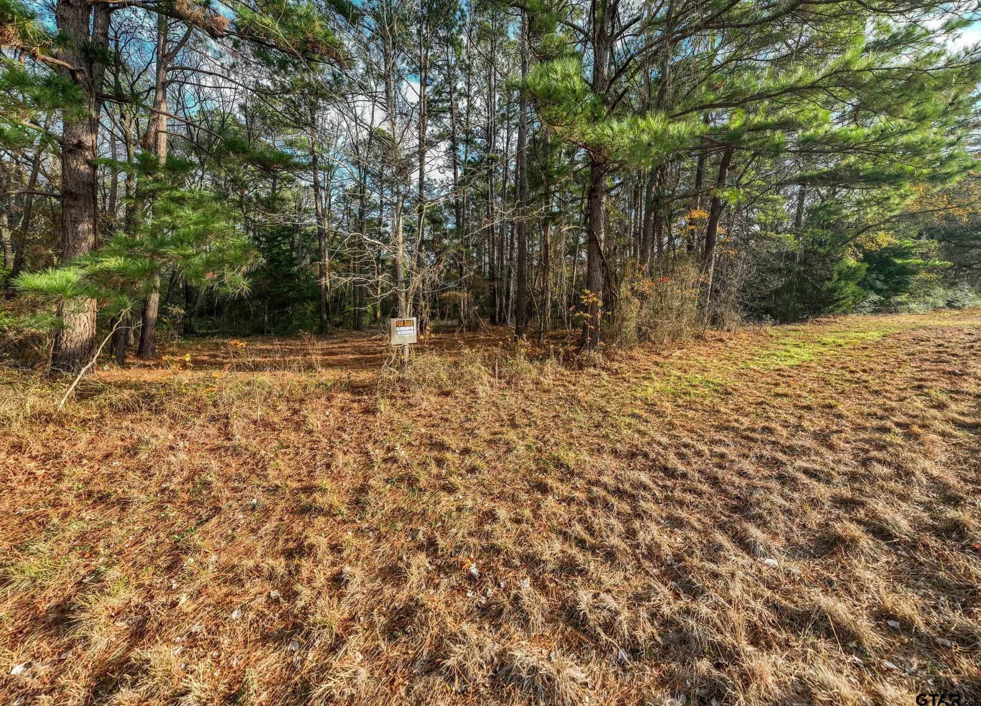 6.41 acres in Anderson County - photo 12