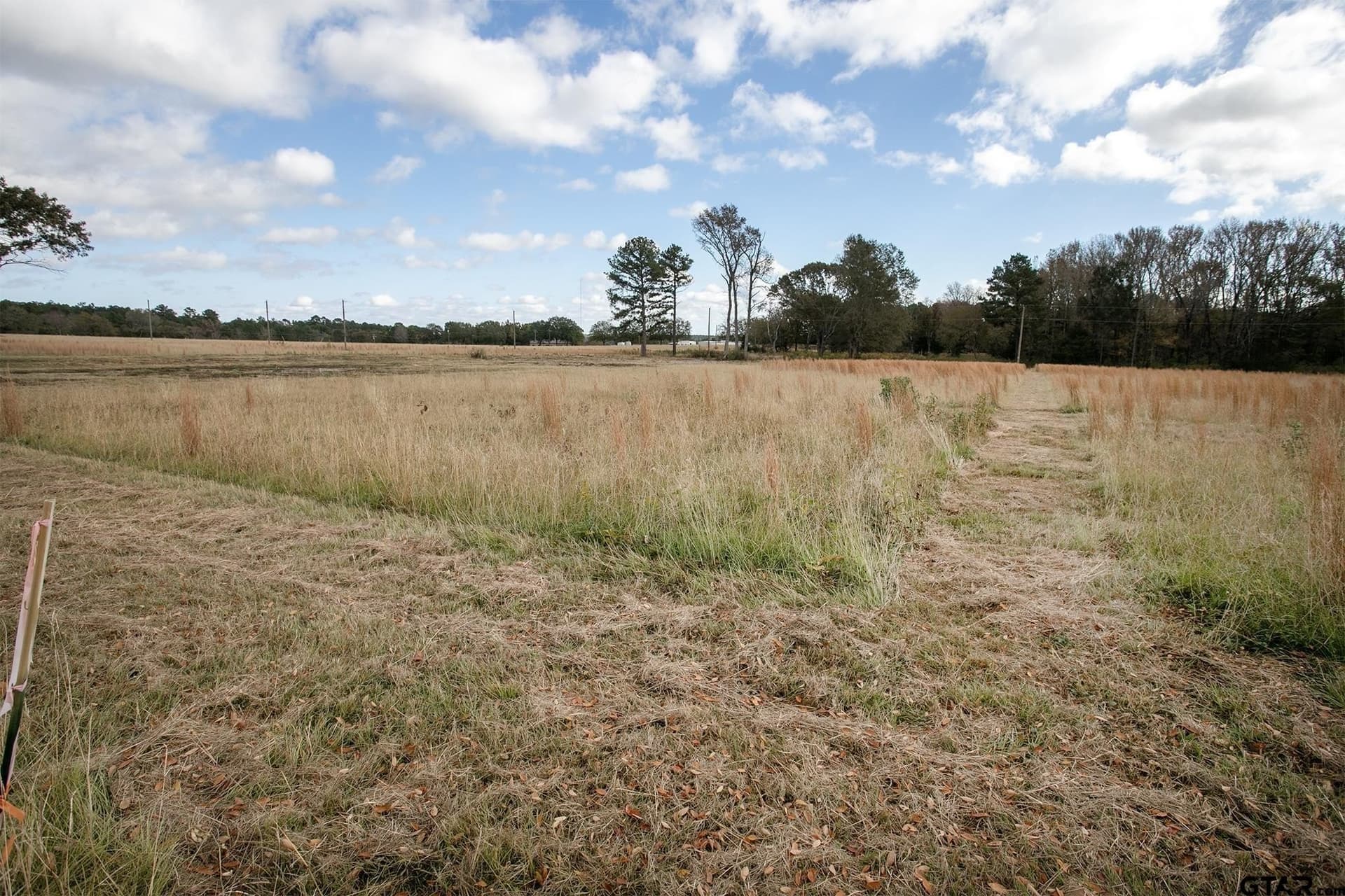 5.05 acres in Anderson County - photo 3