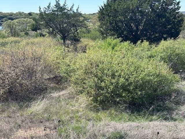 0.83 acres in Eastland County - photo 7