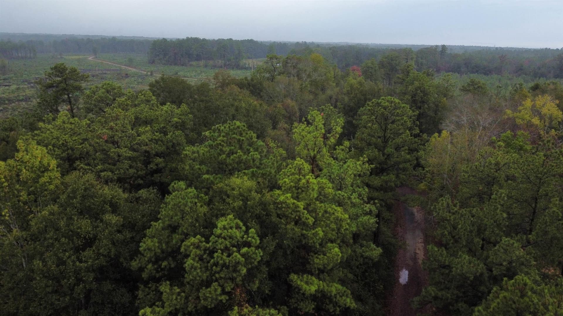 20 acres in Texas County - photo 2